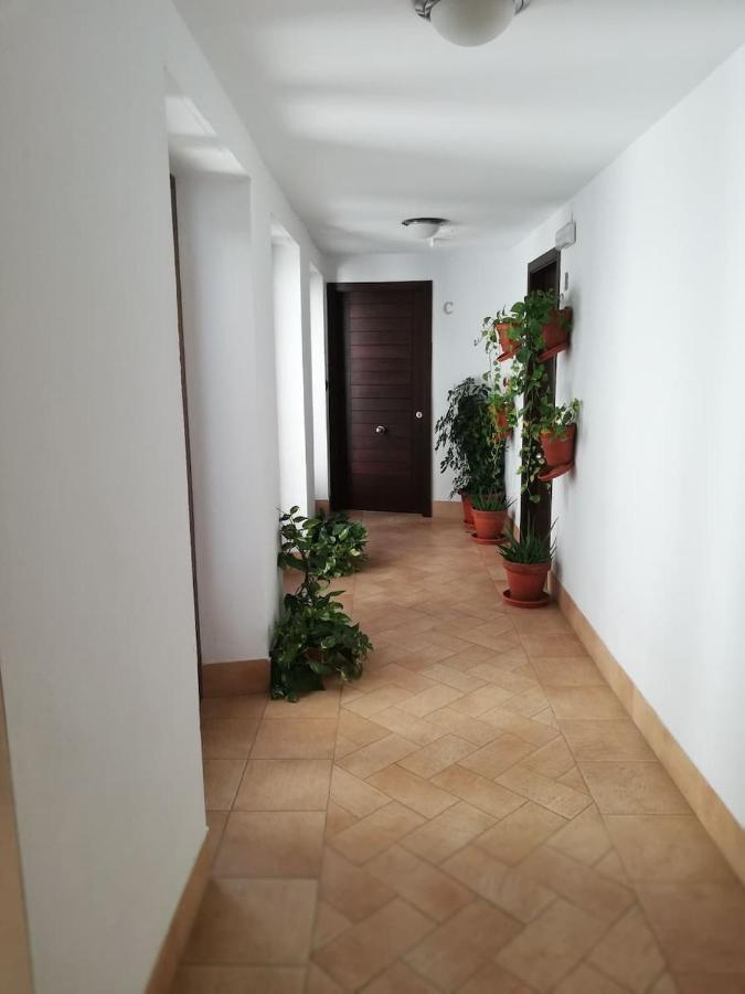 Estudio San Pedro-Corredera Córdoba Eksteriør bilde